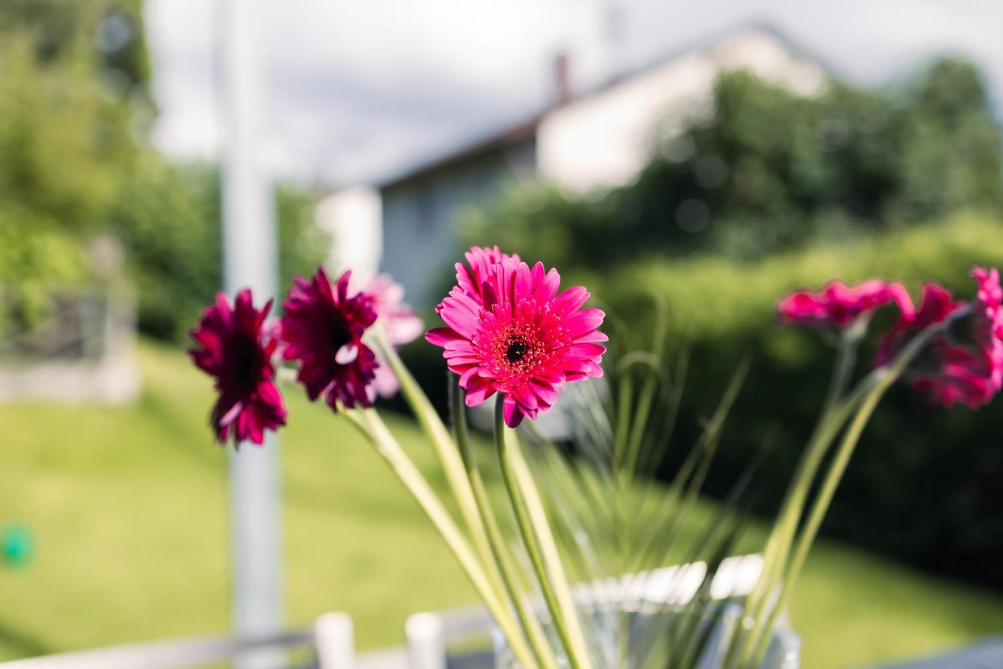 Appartement Purer Genuss - Garten Und Alpe Owingen